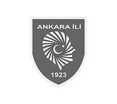 Ankara Government